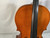 Used Samuel Shen SC-100 4/4 Cello 4/4 Size 40012-S000310124 View 6