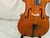 Used Samuel Shen SC-100 4/4 Cello 4/4 Size 40012-S000310124 View 8