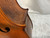 Used Samuel Shen SC-100 4/4 Cello 4/4 Size 40012-S000310124 View 12