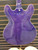 Used FIREFLY SEMI HOLLOW Electric Guitar Purple 6-String 41116-S000051112 View 4