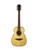Used Lag Travel SP Acoustic Guitar w/Rigid Bag 41115-S000115962 View 2