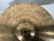 Used Sabian SOLAR 14IN HIHATS Hi Hat Cymbals 14" 40012-S000310513 View 2