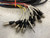 Used Live Wire Solutions 16X4 50 FOOT SNAKE Pro Sound Product 40107-S000156163 View 2