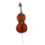 Used 4/4 CELLO W/BOW/GIG BAG Cello 4/4 Size 40009-S000311877 View 1