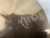 Used Istanbul MEHMET 8 INCH SPLASH Splash Cymbal 8" 40012-S000310672 View 2