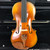 Used 15IN 15VA-CCP Viola 15" 41128-S000111014 View 2