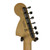 Used Fender 2024 AMERICAN PERFORMER TIMBER STRAT S Type Electric Guitar Wood 6-String 41120-S000036495 View 6