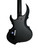 Used LTD TA-204 Tom Araya SLAYER Bass Guitar 41115-S000116443 View 4