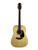 Used Takamine GLD12ENS A/E DREAD SPRUCE TOP 41115-S000116588 View 2