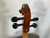 Used J NEUMANN 22A 4/4 VIOLIN Violin 4/4 Size 40012-S000312112 View 11