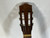 Used Giannini AS IS CRACK MODEL 6 Solid Top Acoustic Guitar Natural 40012-S000312593 View 3