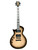 Used ESP LTD EC-1000 LEFTY LP Type Electric Guitar Other 6-String 41130-S000011814 View 1