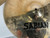 Used Sabian 14 IN AAX STAGE HATS Hi Hat Cymbals 14" 40012-S000312745 View 7