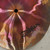 Used Zildjian Trashformer Effects Cymbal 10 - Inch 40015-S000337312 View 5