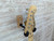 Used Fender 2020 YNGWIE MALMSTEEN STRAT Electric Guitar 41138-S000100027 View 4