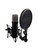 Used Rode NT-1 5th Gen Black Condenser Microphone w/MOUNT + POP FILTER 41115-S000117133 View 1