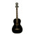 Used Recording King RPS-7-MBK Laminate Top Acoustic Guitar Black 40009-S000313952 View 1