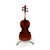 Used Eastar 4/4 Violin 41119-S000038434 View 6