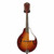 Used Airline A STYLE MANDOLIN Vintage Mandolin View 1