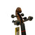 Used 4/4 LAUREN L8397 Violin 4/4 Size 40009-S000314175 View 4