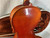 Used Glaesel V130 4/4 VIOLIN Violin 4/4 Size 40012-S000313497 View 12