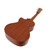 Used Cordoba 20TM-CE Ukulele Natural View 2