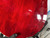 Used Jay Turser MONTEREY HOLLOW BODY Semi-Hollow Electric Guitar Red 6-String 40012-S000313747 View 27