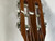 Used Giannini SERIE ESTUDO DESDE 1900 CLASSICAL GUITAR Vintage Laminate Top Acoustic Guitar Wood 40012-S000313960 View 5