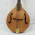 Used Morgan Monroe MAM-200 Mandolin 40042-S000271215 View 1