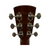 Used Blueridge BR-143 HISTORIC SERIES ACOUSTIC GUITAR Solid Top Acoustic Guitar Amber 41126-C000092867 View 5