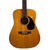 Jasmine S38 Dreadnought Acoustic Guitar 40090-S000084346 View 1