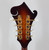 Used Samick SM50S F STYLE MANDOLIN Mandolin 40081-S000114183 View 6