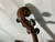 Used GIOVAN PAOLO MAGGINI VIOLIN Violin 4/4 Size 40012-S000314640 View 14