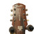 Used Fender F-1010 W/FISHMAN RARE EARTH MIC BLEND Vintage Solid Top Acoustic Guitar Natural 40009-S000315141 View 6