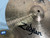 Used Zildjian 14 ZBT HI HAT PAIR Hi Hat Cymbals 14" 40012-S000314800 View 7