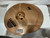 Used Sabian B8X HIGH HAT SET Hi Hat Cymbals 14" 41132-S000012236 View 2