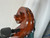 Used Samuel Shen SC100 760 3/4 CELLO Cello 3/4 Size 40012-S000314886 View 20