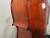 Used Samuel Shen SC100 760 3/4 CELLO Cello 3/4 Size 40012-S000314886 View 35