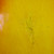 Used Eastman T64/V-T-GB SEMI HOLLOW LOLLARS Semi-Hollow Electric Guitar Cherry Sunburst 6-String 41140-S000138572 View 9