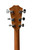 Used Taylor TAYLOR 224CE-K DLX Solid Top Acoustic Guitar Wood 41130-S000012274 View 7