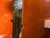 Used Eastman VL100 4/4 VIOLIN Violin 4/4 Size 40012-S000315114 View 12