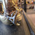 Used Selmer Bundy II Alto Saxophone 41124-S000212608 View 3