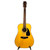 Used Fender DG10/12  Acoustic Guitar Natural 41119-S000038812 View 2