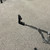 Used YAMAHA SNARE STAND MIJ 41106-S000101980 View 4