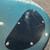 Used GRETSCH G5260 ELECTROMATIC JET BARITONE Electric Guitar 41106-S000102000 View 12