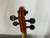 Used Cremona 4/4 ANTONIUS STRAD. 1713 Violin 4/4 Size 40012-S000315326 View 12