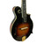 Used The Loar LM-700-VS Mandolin 40009-S000315800 View 3
