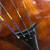 Used GUARNERI HOUSE AB747 3/4 Size Orchestral Instrument 3/4 Size 41128-S000102850 View 6