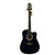 Used Esteban CRYSTAL NIGHT W/CASE Laminate Top Acoustic Guitar Custom Graphics 40009-S000315870 View 1