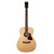 Guitars Acoustic Guitars View 1